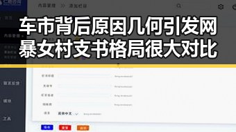 车市背后原因几何引发网暴女村支书格局很大对比